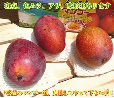 【予約受付】石垣島産 《訳あり・ご自宅用マンゴー》 約2kg エコ箱入り(3～6個入り) 2025年6月末〜7月下旬発送 SI-30-2