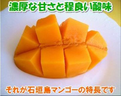 【先行予約】石垣島産 完熟マンゴー 約2kg エコ箱入り（3～6個入り）2025年6月末〜7月下旬発送 SI-32