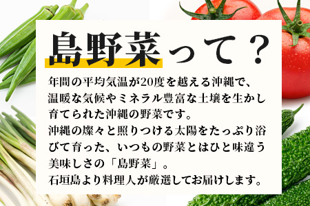 【定期便 12ヶ月】料理人が厳選した島野菜盛り合わせ (6～10品目×12回) 【 野菜詰合せセット  やさい セット 詰め合わせ 冷蔵対応】 TM-8