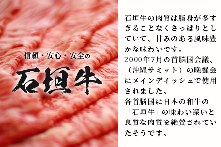 【合計1.5kg】石垣牛 100% 極めハンバーグ 150g×10個 ≪肉職人が作ったこだわりハンバーグ≫ 【石垣牛 沖縄県 石垣市 石垣島 牛肉 牛 肉 黒毛和牛】 TM-6