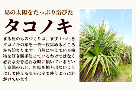 タコノキのかごバッグ S HM-1