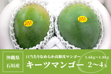 予約受付】沖縄県石垣島産 キーツマンゴー 1.6kg～1.8kg【2～4玉】【口当たりがなめらかな 高糖度マンゴー】2024年発送分: 石垣 市ANAのふるさと納税