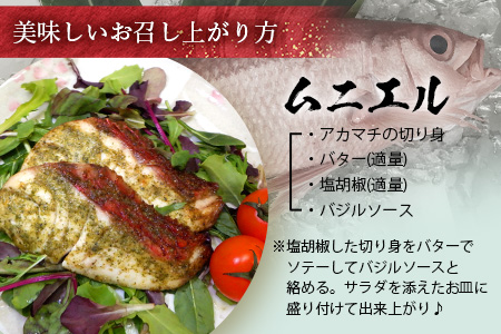 【予約受付】高級ブランド魚 尖閣赤マチ 1尾 約1kg 下処理済【沖縄三大高級魚】 GK-3