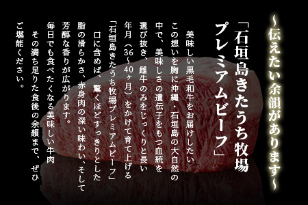 【きたうちプレミアムビーフを贅沢に使用】特製レトルトビーフシチュー 5個【総重量1.1Kg】【石垣島きたうち牧場の美味しい牛肉】こだわりぬいた美味しいお肉のビーフシチュー