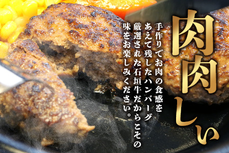 高級 黒毛和牛 石垣牛 100% 自家製 ハンバーグ 100g × 6個 600g  I-21