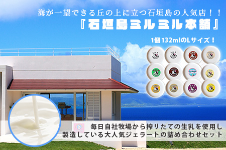 石垣島ミルミル本舗 南の島から島素材ジェラート！【定番人気セット 12個入り】（1個 132ml）　Z-7