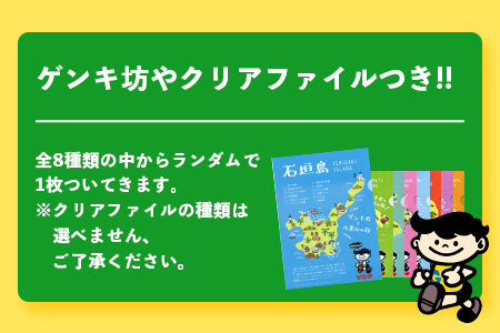 【ふるさと納税限定】ゲンキクールバリューセット【八重山ゲンキ乳業】【石垣島のソウルドリンク ゲンキクール】GN-1-1