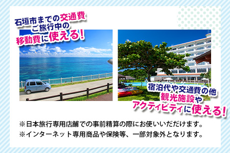 沖縄県石垣市　地域限定旅行クーポン30,000円分 【 日本旅行 トラベルクーポン 納税チケット 旅行 宿泊券 ホテル 観光 旅行 旅行券 交通費 体験 宿泊 夏休み 冬休み 家族旅行 ひとり旅 カップル 夫婦 親子 石垣島旅行 】 NR-1