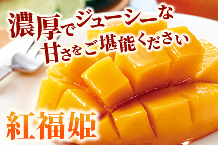 【2026年発送 予約受付分】「紅福姫ブランド」石垣島のマンゴー 約2kg【沖縄県 石垣市 産地直送 旬 石垣島産 マンゴー 完熟マンゴー アーウィン種マンゴー】 OT-005