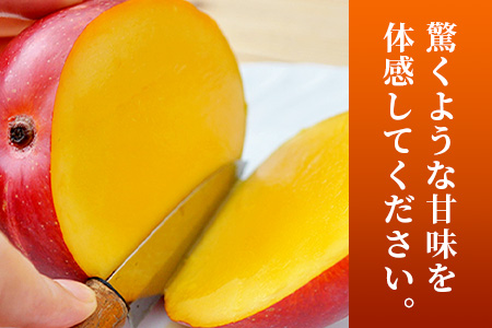 【先行受付】《2025年7月～8月中旬順次発送》訳あり 沖縄マンゴー（石垣島産）1kg ときわマンゴー農園 TK-8