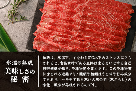 【氷温熟成】石垣島産 黒毛和牛 ウデスライス 500g×2【合計1kg】お肉 肉 牛肉 冷凍 すきやき すき焼き 牛丼 和牛 しゃぶしゃぶ 赤身 八重山食肉センター うで ウデ