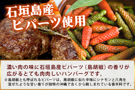 石垣島産　黒毛和牛 生ハンバーグ　120g x 10個 UN-2
