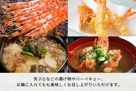 車えび1kg【冷凍】50尾 ～ 65尾 沖縄県 石垣島 石垣市 クルマエビ くるまえび Sサイズ【嬉しい真空パック】BE-6