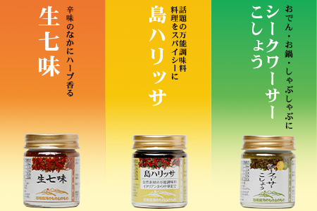 UY-2 石垣島海のもの山のものスパイス&オリジナル詰め合わせセットB