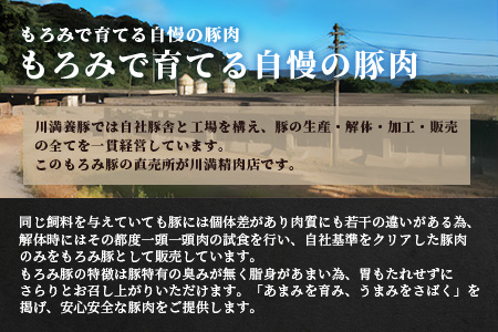 【定期便 12回配送】【石垣島ブランド豚】もろみ豚 豚ミンチ 250g×60袋【合計15kg】【もろみで育てる自慢の豚肉】AH-21-1