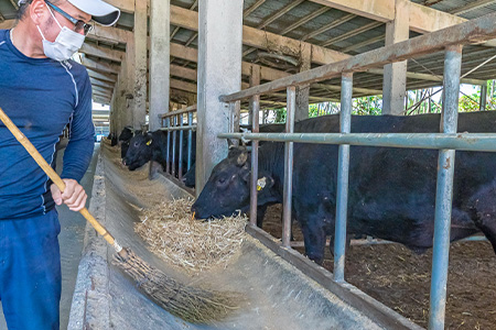 【産地直送】石垣の恵 石垣牛 生ハンバーグ6個【合計720g】【日本最南端の黒毛和牛】KB-101