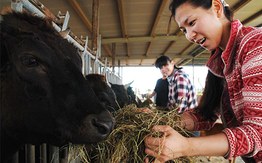 石垣牛ハンバーグ100g10個（ゆいまーる牧場）| ハンバーグ 和牛 黒毛和牛 石垣牛 無添加 国産 牛肉 ブランド牛 冷凍 個包装 沖縄 石垣 人気 送料無料 | U-1-1