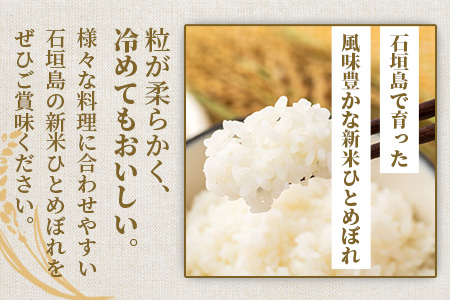 新米 石垣島のひとめぼれ 10kg AE-4-1