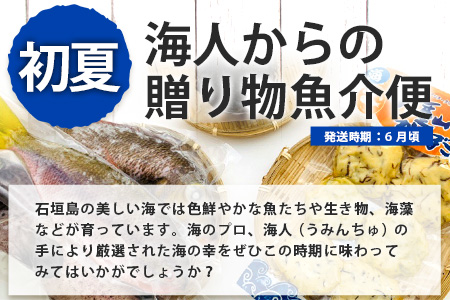 【4回/年定期配送 石垣島のタカラモノ便】 SH-3 春夏秋冬のお楽しみ(野菜 鮮魚 フルーツ 肉 牛肉 豚肉 加工 品 八重山そば かまぼこ マグロ 果物 パイン マンゴー 頒布会 セット 贈答 4ヵ月)