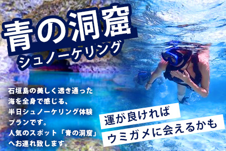 石垣島の自然を満喫！石垣島1日アクティビティ (利用券 1名様分) NS-2