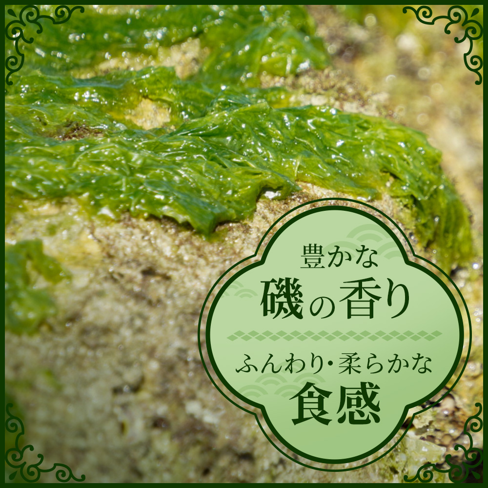 沖縄の海の恵み　アーサ（あおさ）4パック CK-08