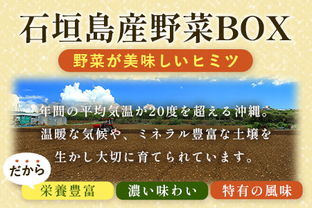 ▼【３回定期便】石垣島産 野菜 BOX ≪定番・旬の野菜 ６~８種類≫（1箱×3回）季節ごとに野菜パワーをあなたに！！｜野菜セット おまかせセット 旬 季節のお野菜 旬の野菜セット 詰め合わせ 定期便 ３回 定番野菜 島野菜 沖縄県 石垣市 石垣島 石垣 CK-2 【３回定期便】