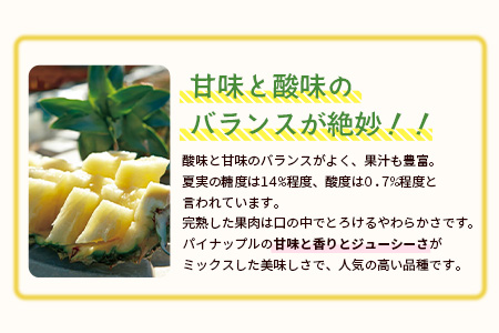 【予約受付】石垣島産 有機パイナップル・ハワイ種 3玉（約2.8kg前後)〈常温〉《7月上旬～順次発送予定》｜パイナップル パインアップル 石垣島パイン フルーツ 果物 くだもの 南国フルーツ 国産パイン　E-39
