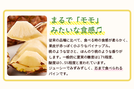 【予約受付】石垣島産　有機パイナップル・ピーチ種 3玉（約2.4kg前後）〈常温〉《６月上旬～順次発送予定》｜パイナップル パインアップル 石垣島パイン フルーツ 果物 くだもの 南国フルーツ 国産パイン　E-40