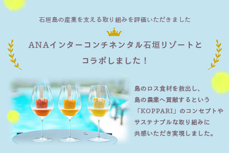 石垣島産パイナップル６回定期便｜青果３回 冷凍３回 沖縄県 石垣市 果物 果物 南国フルーツ パイン KP-8-1