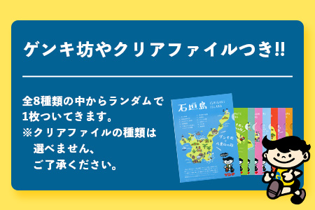 【ふるさと納税限定】【定期便_5回】ゲンキ牛乳バリューセット【八重山ゲンキ乳業】【日本最南端の乳業】【伊盛牧場産 生乳100％使用】GN-003-t05