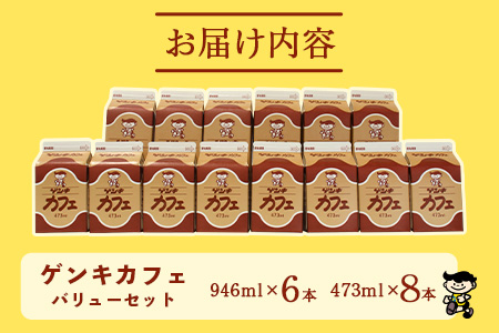 【ふるさと納税限定】ゲンキカフェバリューセット【八重山ゲンキ乳業】【日本最南端の乳業】【伊盛牧場産 生乳100％使用】GN-005