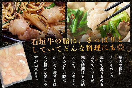 希少な特選石垣牛のホルモンをご家庭で！！マルチョウ300g×2パック【 沖縄 石垣 和牛 石垣牛 希少 特選 肉 ホルモン マルチョウ 冷凍 小分け 】IM-12