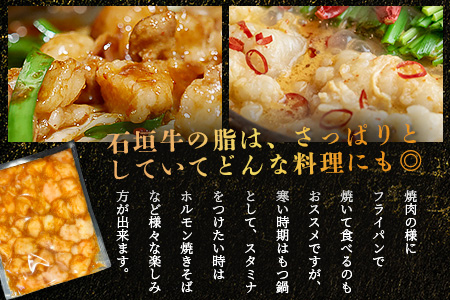 希少な特選石垣牛のホルモンをご家庭で！！秘伝の味噌味マルチョウ300g×3パック【 沖縄 石垣 和牛 石垣牛 希少 特選 肉 味噌 みそ 味付 ホルモン マルチョウ 冷凍 小分け 】IM-16