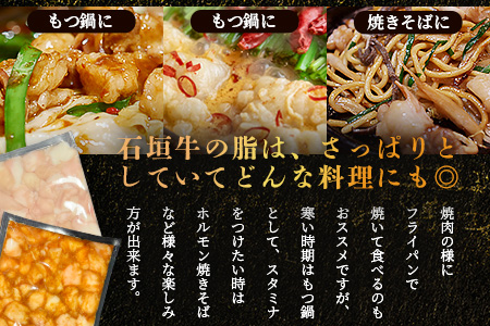 希少な特選石垣牛のホルモンをご家庭で！！マルチョウ300g×2パック 秘伝の味噌味とプレーンの食べ比べセット【 沖縄 石垣 和牛 石垣牛 希少 特選 肉 味噌 みそ 味付 ホルモン マルチョウ 冷凍 小分け 】IM-18