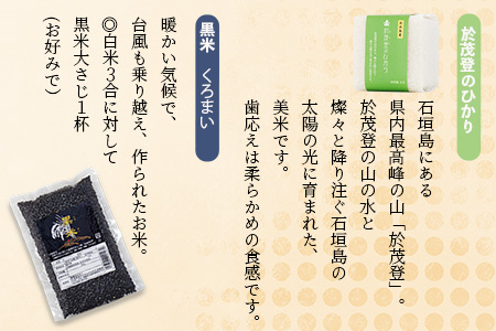 石垣島産お米の食べ比べセット 合計1.1kg【石垣島産 ひとめぼれ】【星の美しゃ】【於茂登のひかり】【黒米】【美味しいお米をうれしい小分けでお届け】KB-15