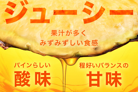 【先行予約】ジュワリーパイン1ｋｇ（1～2玉）お勧め♪川平パイン《2026年7月～8月頃順次発送》KN-1