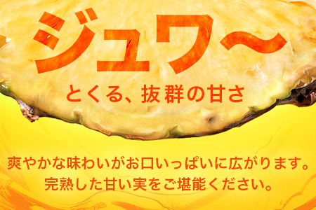 【先行予約】パールパイン1ｋｇ（1～2玉）お勧め♪川平パイン《2026年7月～8月頃順次発送》KN-2