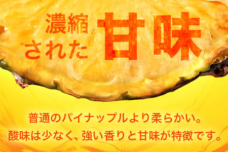 【先行予約】ポコットパイン1ｋｇ（1～2玉）お勧め♪川平パイン《2026年5月～10月頃順次発送》KN-3