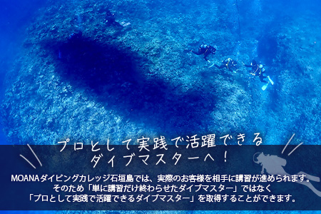 【ダイビングライセンス】PADIダイブマスターコース 7～8日間 1名様 MO-5