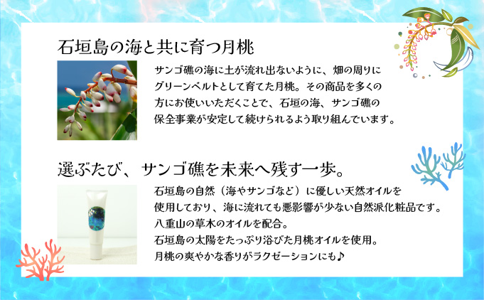 幸－美彩－さちちゅらいろ 島の日焼け止め（30g）OA-03