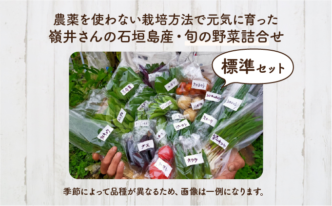嶺井さんの石垣島旬の野菜詰合せ（標準セット）OI-22