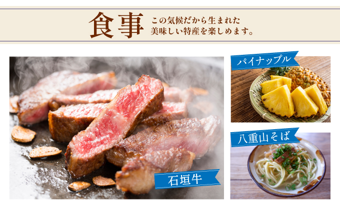 石垣パッケージ旅行補助券(90,000円分) OTI-02