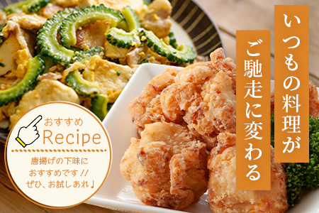 チャンプルの素　60g　袋入×2袋【 沖縄県 石垣市 石垣島 調味料 万能 石垣島産 】PN-5