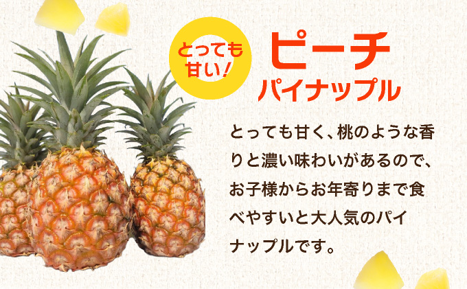 石垣島産フローズンパイナップル3種食べ比べセット  PU-01