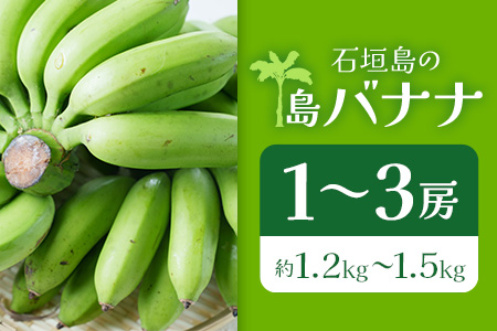 ＜先行予約＞石垣島の島バナナ、1～3房（約1,2～1,5kg前後入り）《4月中旬～順次発送》爽やか酸味のスッキリ系バナナ、少し冷やしてもイイんです！SI-33