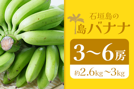 ＜先行予約＞石垣島の島バナナ、3～6房（約2,6～3kg前後入り）《4月中旬～順次発送》爽やか酸味のスッキリ系バナナ、少し冷やしてもイイんです！　SI-34