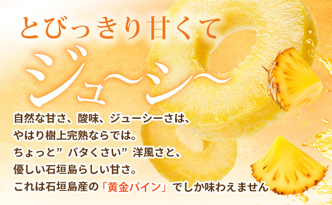 【先行予約】《2025年夏季 順次発送》黄金パイン大玉２個入 計3.0kg SI-51