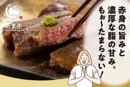 石垣島産 黒毛和牛 新里牛 リブロースステーキ（200g×2）合計400g SZ-29