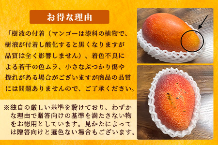 《2026年6月下旬～7月発送》【先行予約】最高糖度20度！？ 完熟！3Lサイズ 石垣島マンゴー 3玉入り【 沖縄 石垣島 石垣 八重山 マンゴー 完熟 期間限定 数量限定 沖縄県 石垣島産 】TF-28_R8