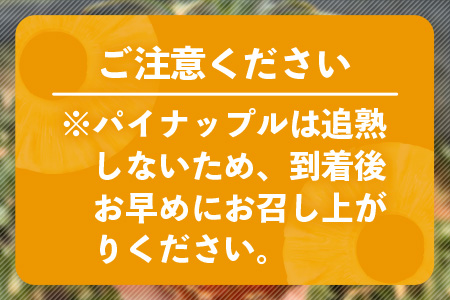 【マツコの知らない世界で絶賛！】《2025年5月以降順次発送》[先行予約] 最高糖度20度！？ 完熟の極 石垣島産幻のパイナップル ホワイトココ2個セット【 沖縄 石垣島 石垣 八重山 パイン パイナップル 期間限定 数量限定 TV テレビ 紹介 マツコ 】TF-2_R7